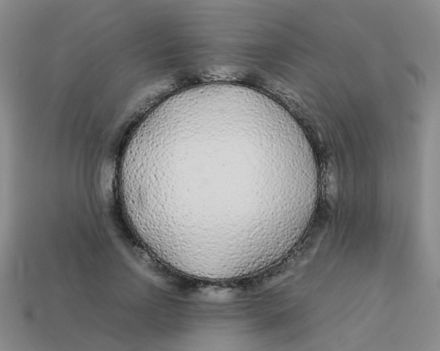X0000113560742200910161456