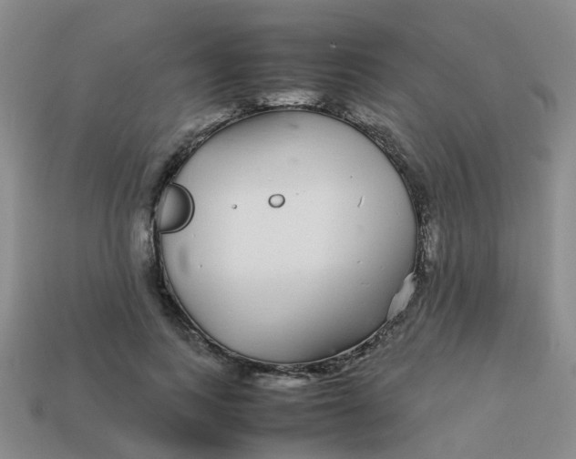 X0000113560743200910161456
