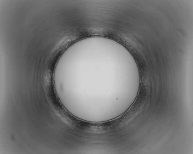 X0000113560744200910161456