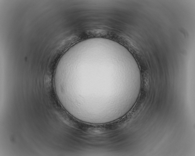 X0000113560745200910161456