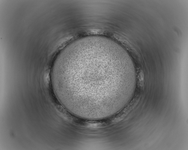 X0000113560746200910161456