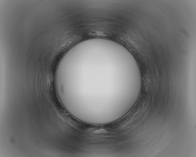 X0000113560747200910161456