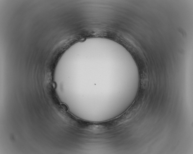 X0000113560748200910161456