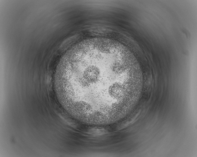 X0000113560749200910161456