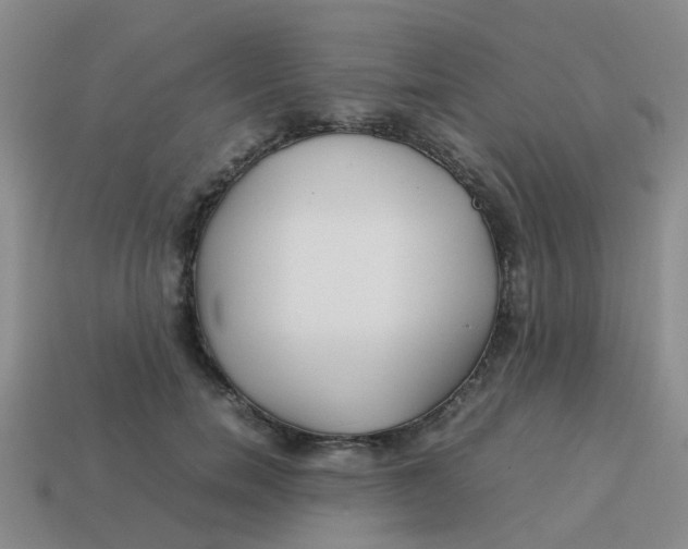 X0000113560750200910161456