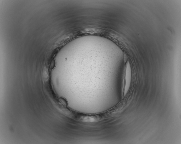 X0000113560751200910161456