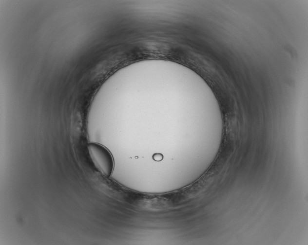 X0000113560752200910161456