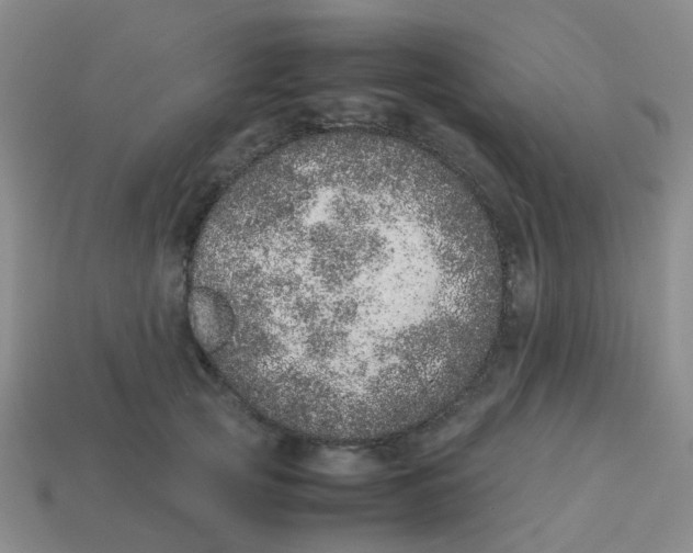 X0000113560753200910161456