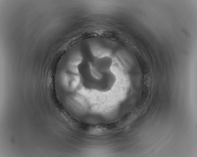 X0000113560754200910161456