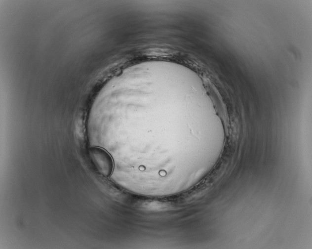 X0000113560755200910161456