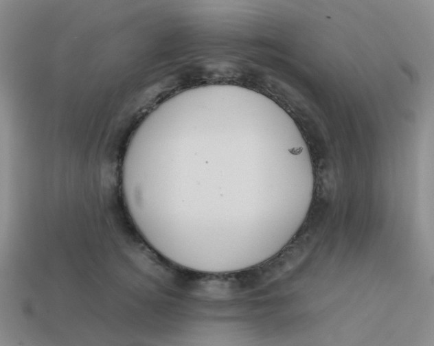 X0000113560756200910161456