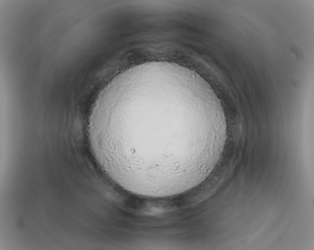 X0000113560757200910161456