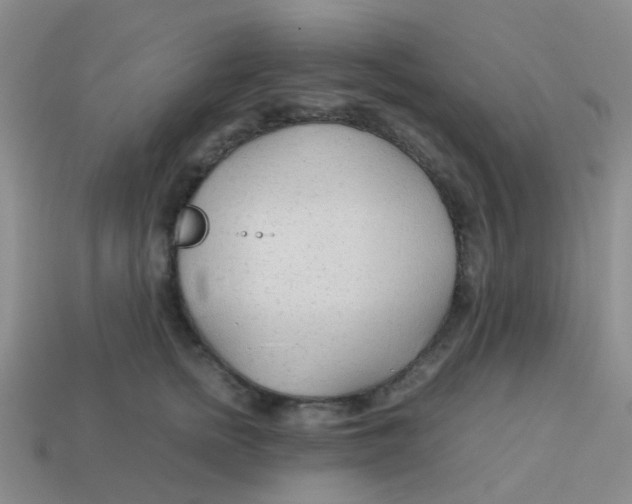X0000113560758200910161456
