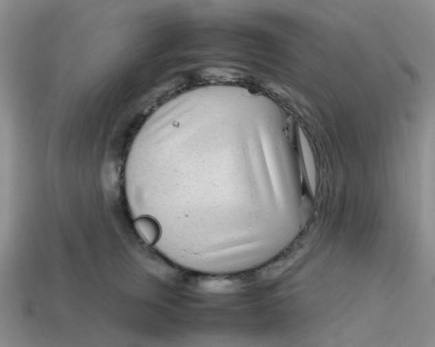 X0000113560759200910161456