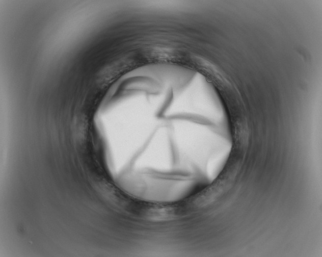 X0000113560760200910161456