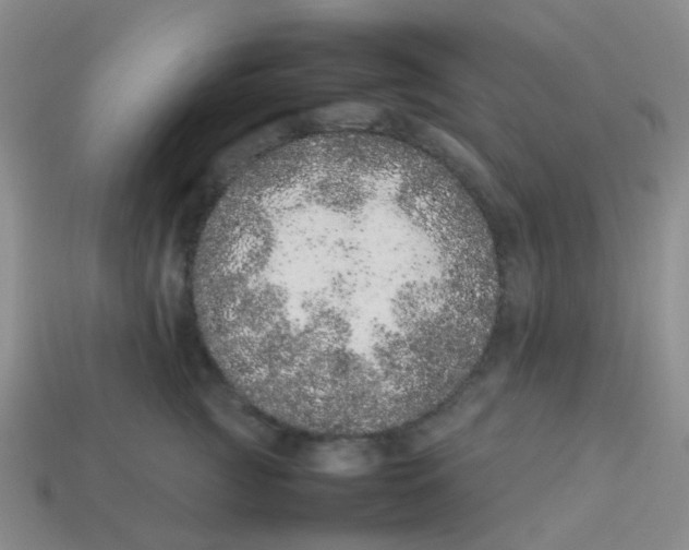 X0000113560761200910161456
