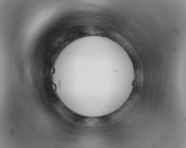 X0000113560762200910161456