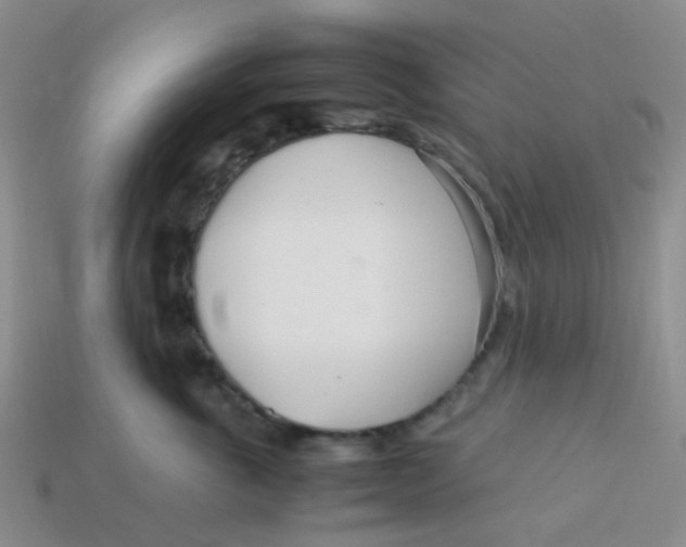 X0000113560763200910161456