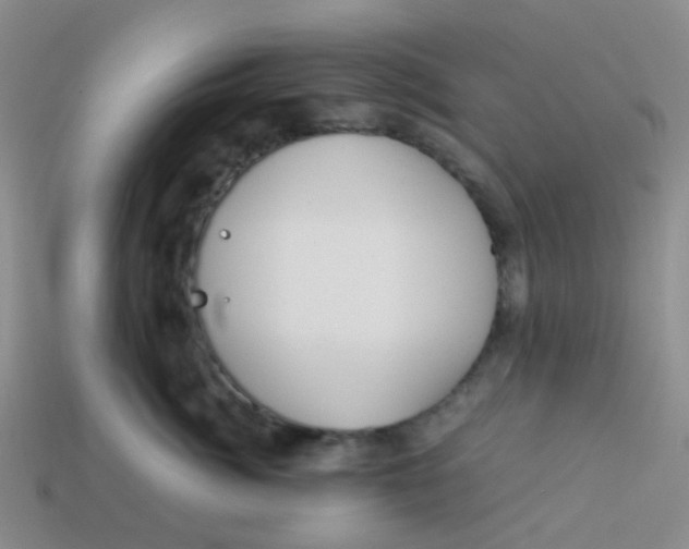X0000113560764200910161456