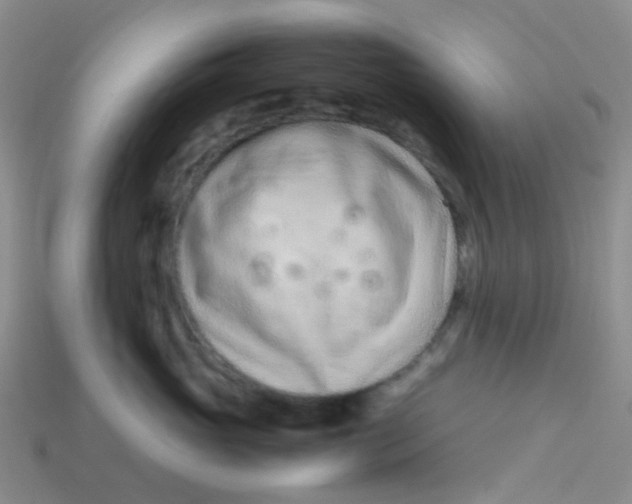 X0000113560765200910161456
