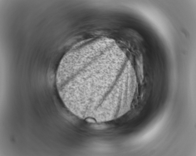 X0000113560767200910161456