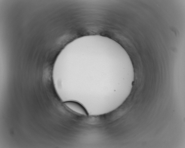 X0000113560768200910161456