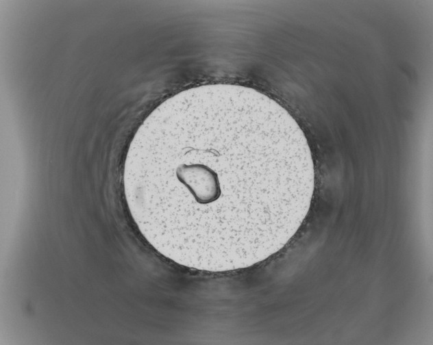 X0000113560769200910161455