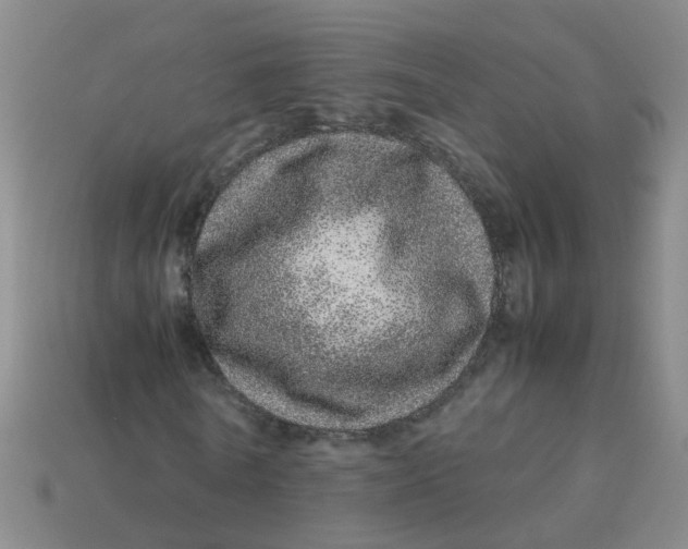 X0000113560770200910161455