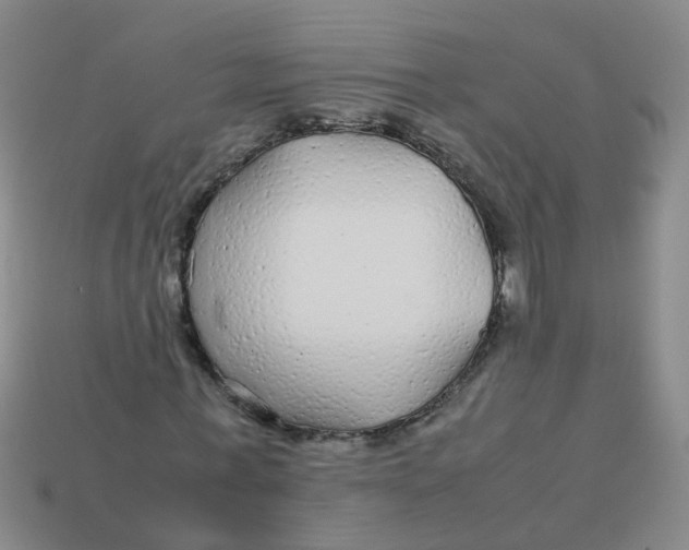 X0000113560771200910161455