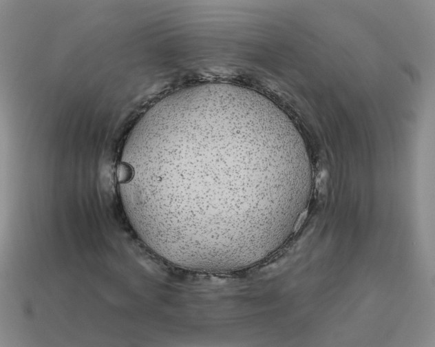 X0000113560772200910161455