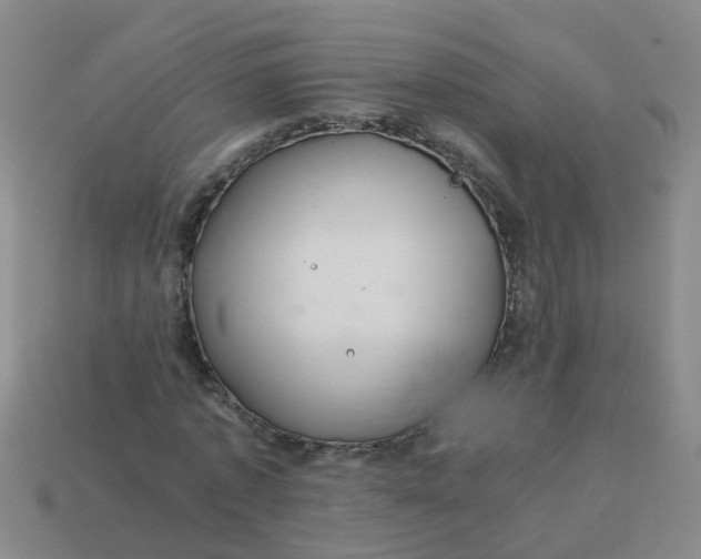 X0000113560773200910161455