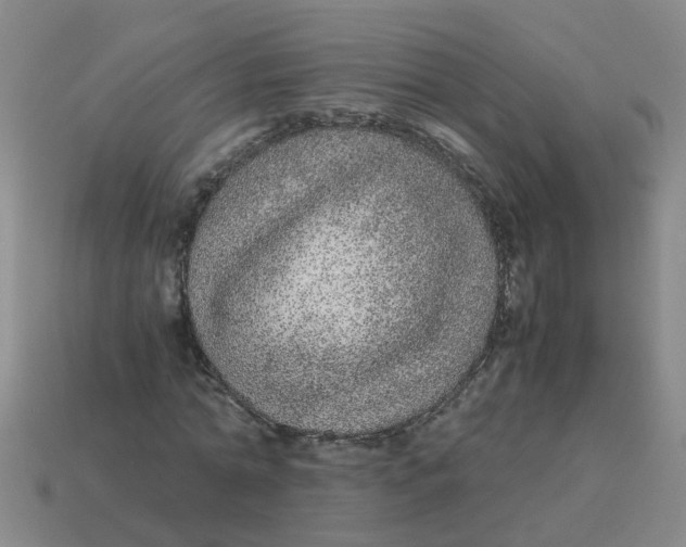 X0000113560774200910161455