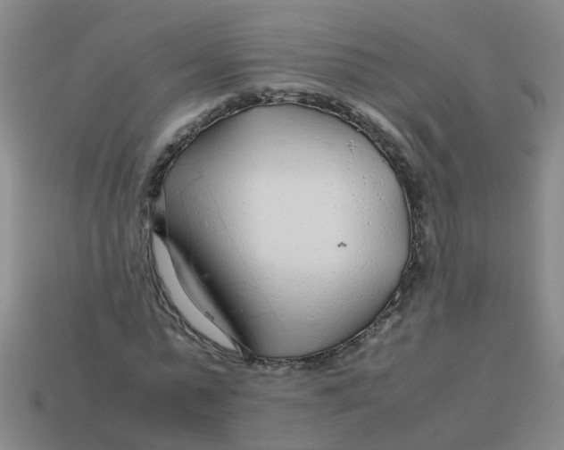 X0000113560775200910161455