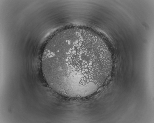 X0000113560776200910161455