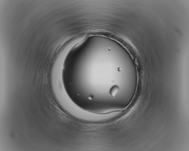 X0000113560777200910161455