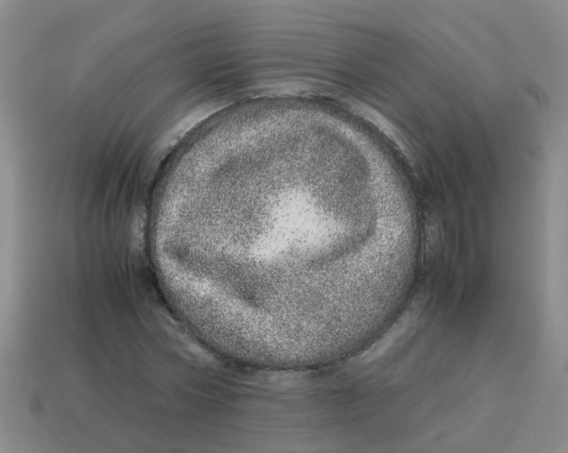 X0000113560778200910161455