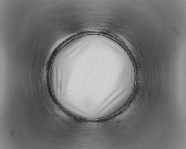 X0000113560779200910161455