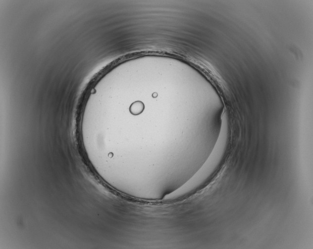 X0000113560780200910161455
