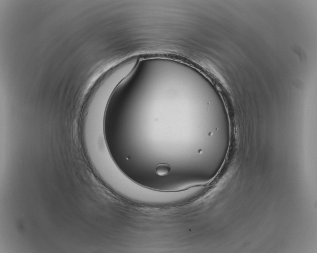 X0000113560781200910161455