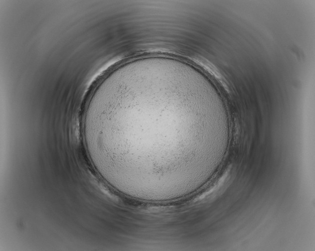 X0000113560782200910161455