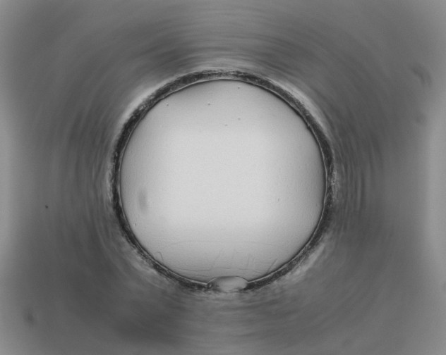 X0000113560783200910161455