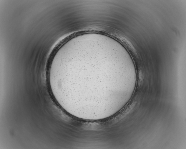 X0000113560784200910161455