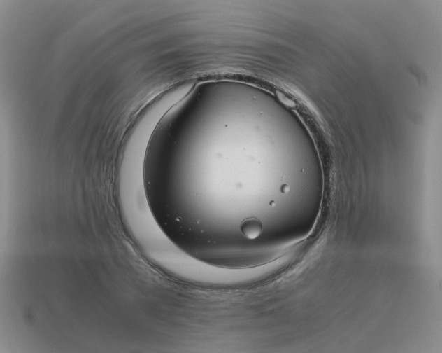 X0000113560785200910161455