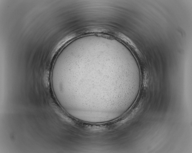X0000113560786200910161455