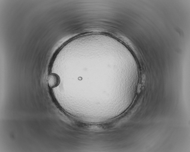 X0000113560787200910161455