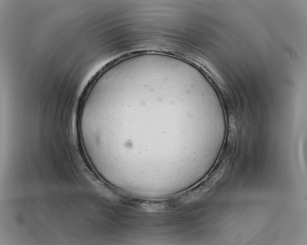 X0000113560788200910161455