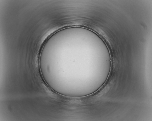 X0000113560789200910161455