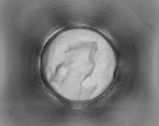 X0000113560790200910161455