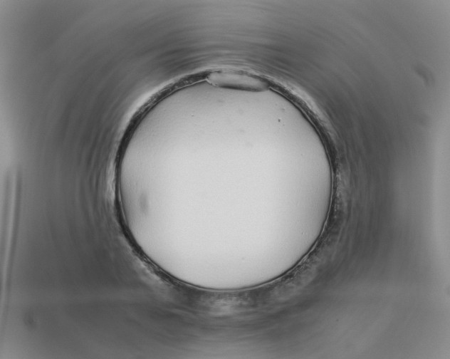 X0000113560791200910161455