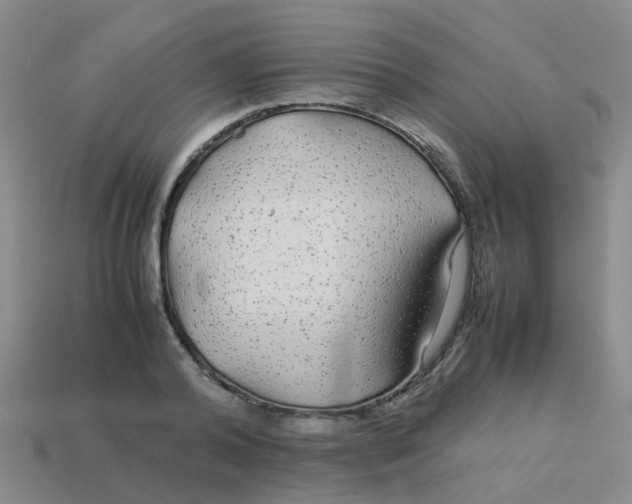 X0000113560792200910161455